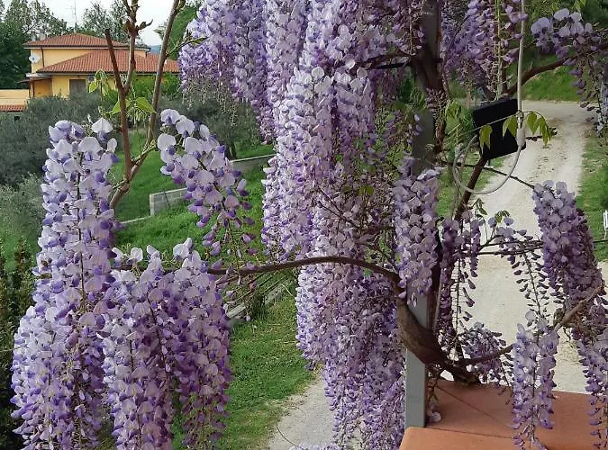 Il Glicine 3* Chieti